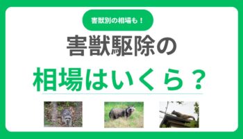 害獣駆除作業の相場っていくら？料金を左右する要因と失敗しない業者選びのコツ