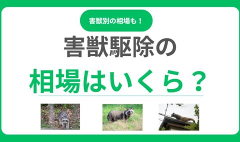 害獣駆除作業の相場っていくら？料金を左右する要因と失敗しない業者選びのコツ