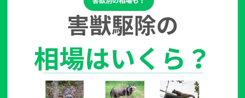 害獣駆除作業の相場っていくら？料金を左右する要因と失敗しない業者選びのコツ
