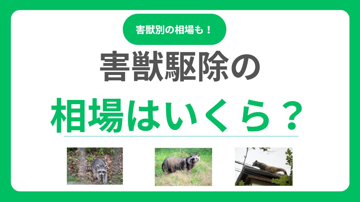 害獣駆除作業の相場っていくら？料金を左右する要因と失敗しない業者選びのコツ