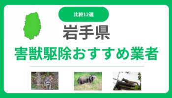 岩手県の害獣駆除業者おすすめ12選｜費用相場と信頼できる業者の見極め方