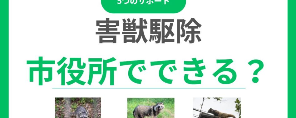市役所は害獣駆除してくれない？相談で受けられる5つのサポートと注意点！