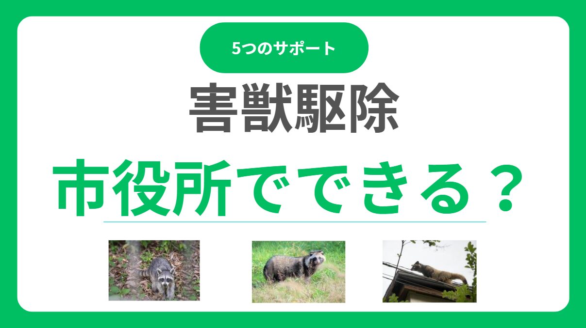 市役所は害獣駆除してくれない？相談で受けられる5つのサポートと注意点！