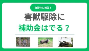 害獣駆除に補助金は出る？申請条件から手続き方法まで自治体制度を徹底解説