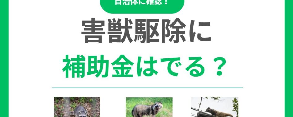 害獣駆除に補助金は出る？申請条件から手続き方法まで自治体制度を徹底解説