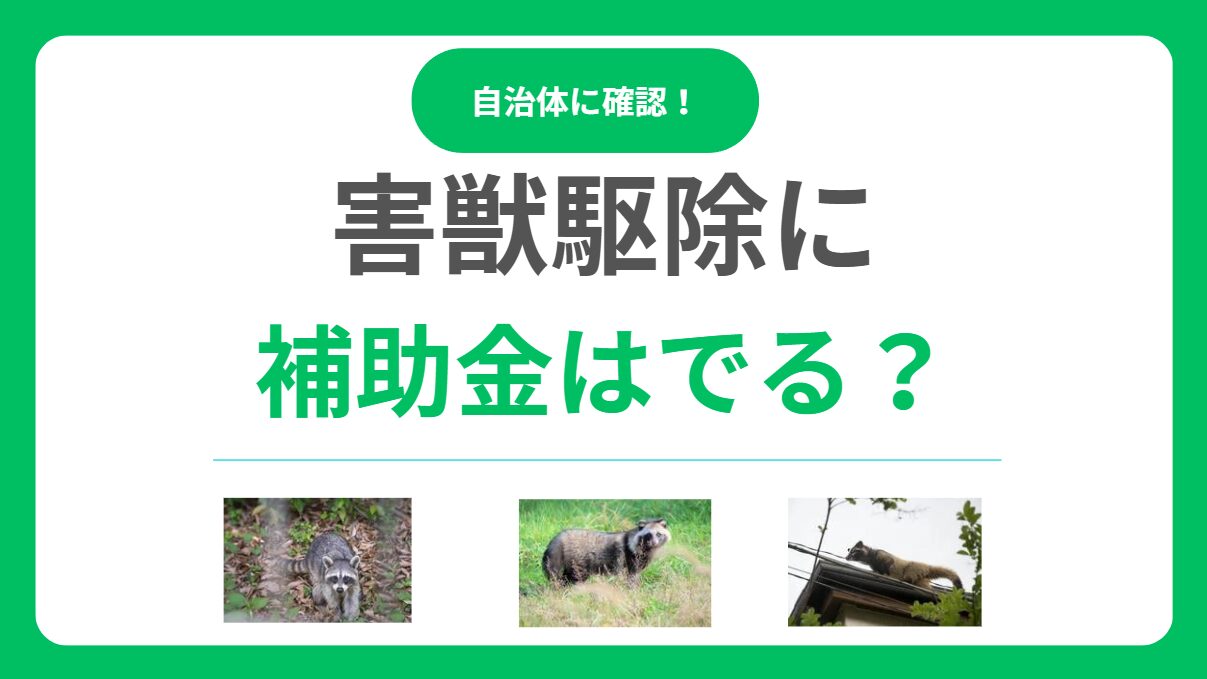 害獣駆除に補助金は出る？申請条件から手続き方法まで自治体制度を徹底解説