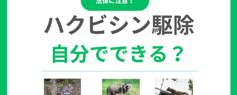 ハクビシン駆除を自分で行う方法｜追い出しから再発防止の方法を解説