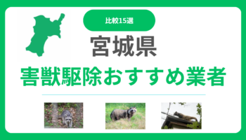 【比較】宮城県の害獣駆除業者おすすめ15選｜費用相場と業者の選び方も紹介！