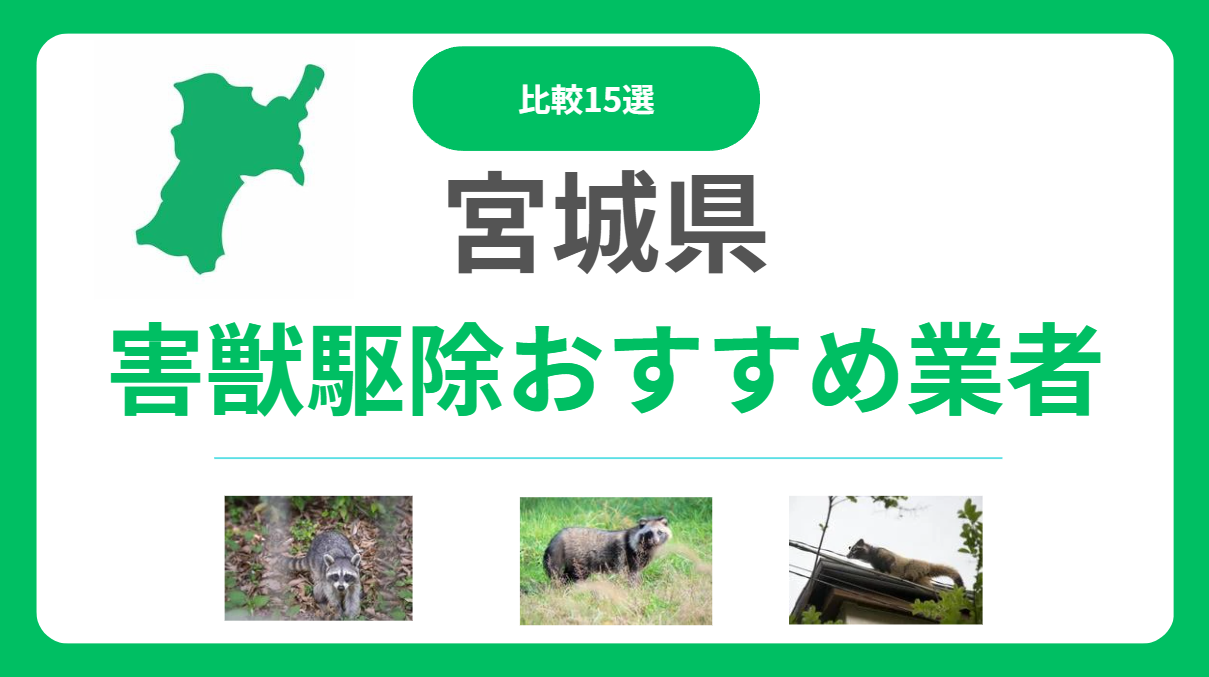 【比較】宮城県の害獣駆除業者おすすめ15選｜費用相場と業者の選び方も紹介！