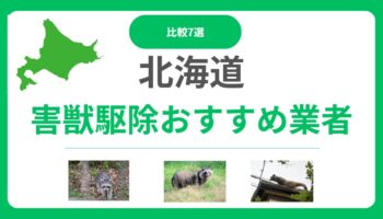 北海道の害獣・害虫駆除業者おすすめ7選｜料金相場と選び方を徹底解説