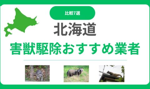 北海道の害獣・害虫駆除業者おすすめ7選｜料金相場と選び方を徹底解説