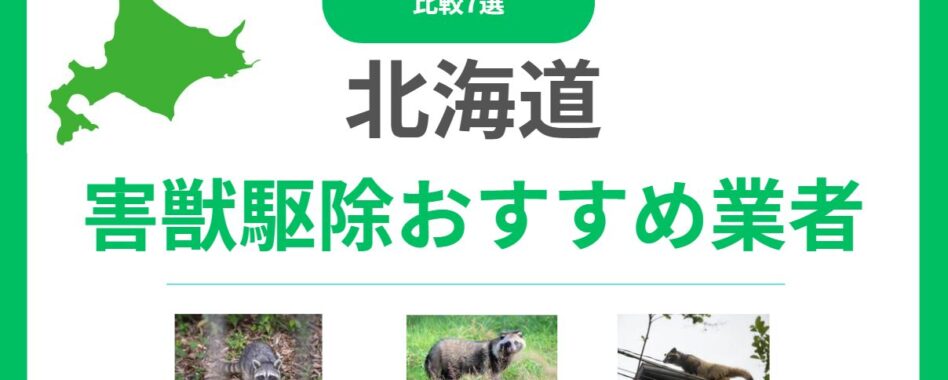 北海道の害獣・害虫駆除業者おすすめ7選｜料金相場と選び方を徹底解説