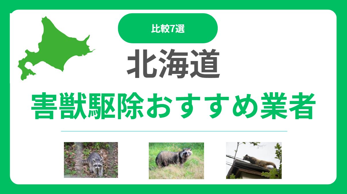 北海道の害獣・害虫駆除業者おすすめ7選｜料金相場と選び方を徹底解説