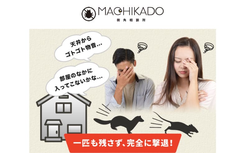 画像に alt 属性が指定されていません。ファイル名: %E3%82%B9%E3%82%AF%E3%83%AA%E3%83%BC%E3%83%B3%E3%82%B7%E3%83%A7%E3%83%83%E3%83%88-6211-1.jpg