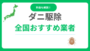 ダニ駆除業者おすすめ10選！評判・口コミが良い業者はどこ？料金相場も解説！