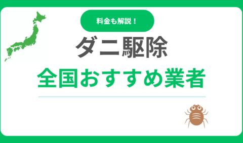 ダニ駆除業者おすすめ10選！評判・口コミが良い業者はどこ？料金相場も解説！