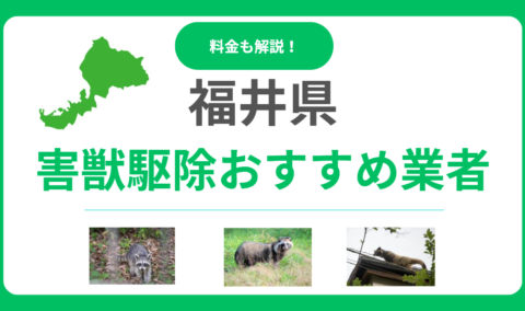 福井県の害獣駆除おすすめ業者15選！料金相場と信頼できる選び方をプロが解説