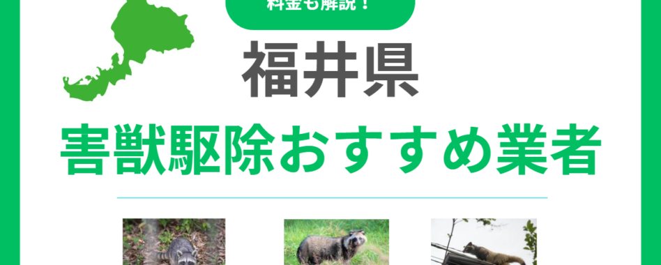 福井県の害獣駆除おすすめ業者15選！料金相場と信頼できる選び方をプロが解説