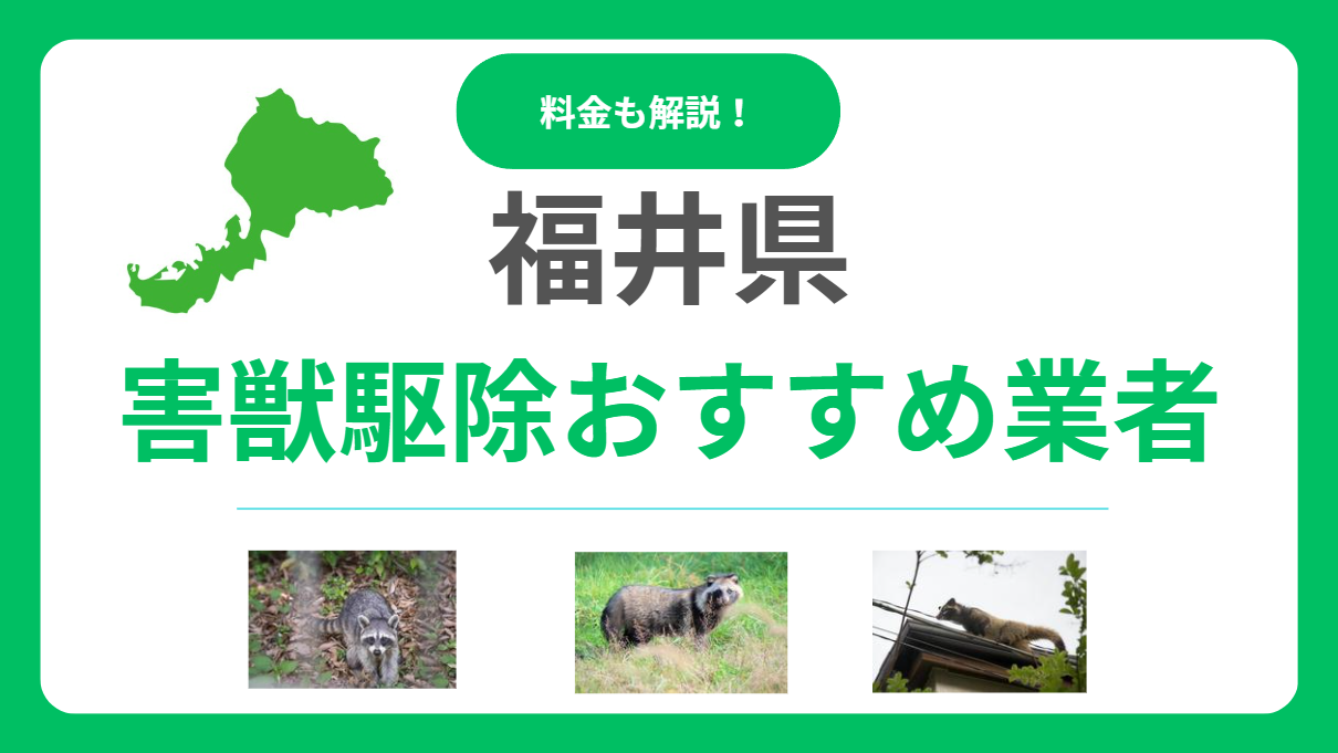 福井県の害獣駆除おすすめ業者15選！料金相場と信頼できる選び方をプロが解説