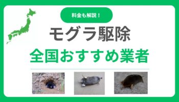 モグラ駆除業者おすすめランキング10選！失敗しない優良業者の選び方と料金相場を徹底比較