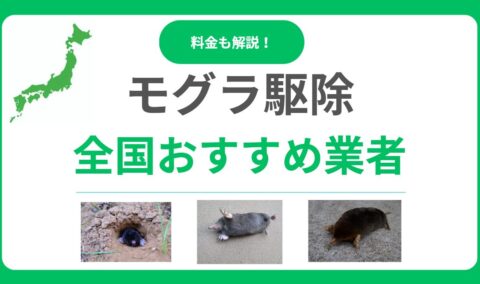 モグラ駆除業者おすすめランキング10選！失敗しない優良業者の選び方と料金相場を徹底比較