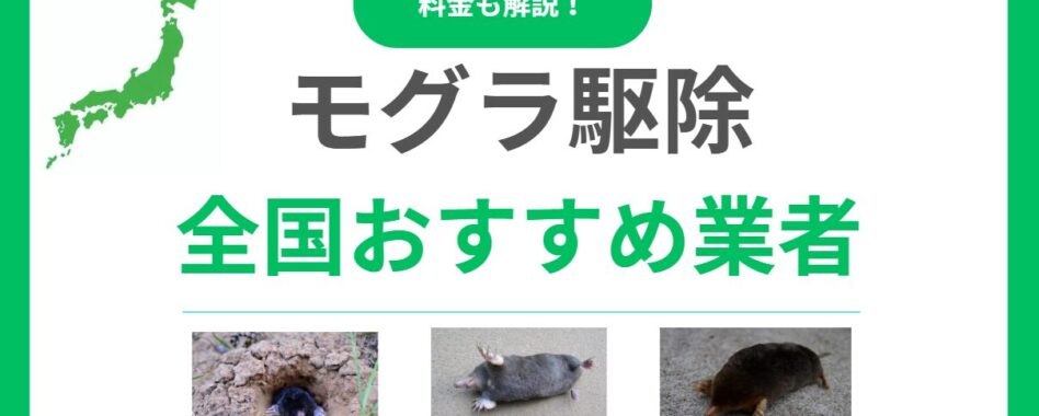 モグラ駆除業者おすすめランキング10選！失敗しない優良業者の選び方と料金相場を徹底比較