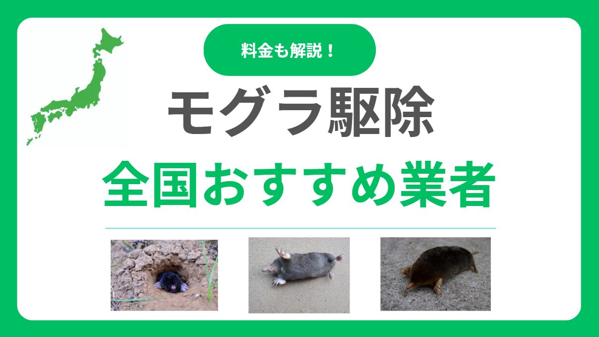 モグラ駆除業者おすすめランキング10選！失敗しない優良業者の選び方と料金相場を徹底比較