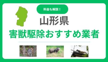 山形県のおすすめ害獣駆除業者15選！失敗しない選び方と料金相場を徹底比較