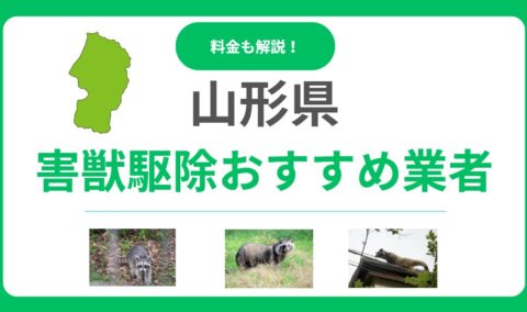 山形県のおすすめ害獣駆除業者15選！失敗しない選び方と料金相場を徹底比較