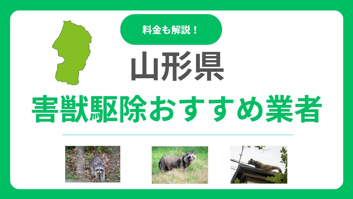山形県のおすすめ害獣駆除業者15選！失敗しない選び方と料金相場を徹底比較