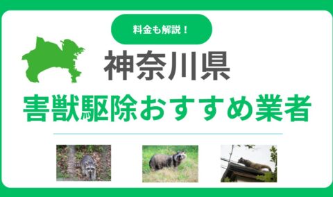神奈川県の害獣駆除業者おすすめ15選｜料金比較と優良業者を見抜くポイント