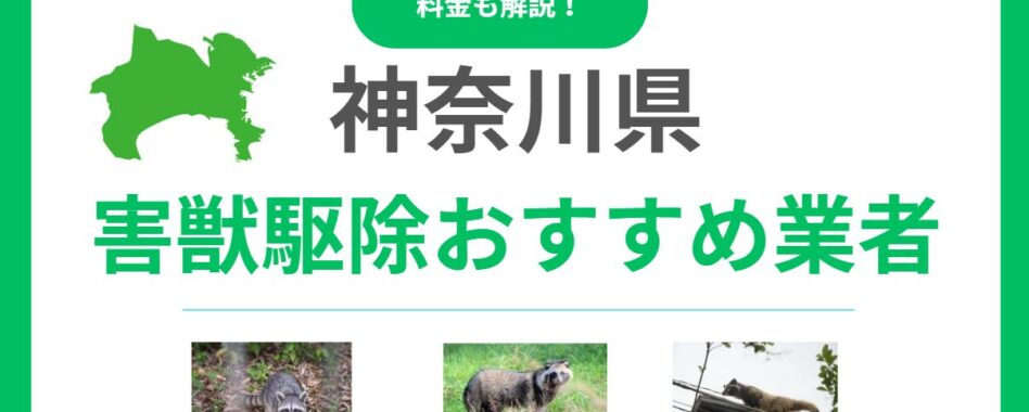 神奈川県の害獣駆除業者おすすめ15選｜料金比較と優良業者を見抜くポイント