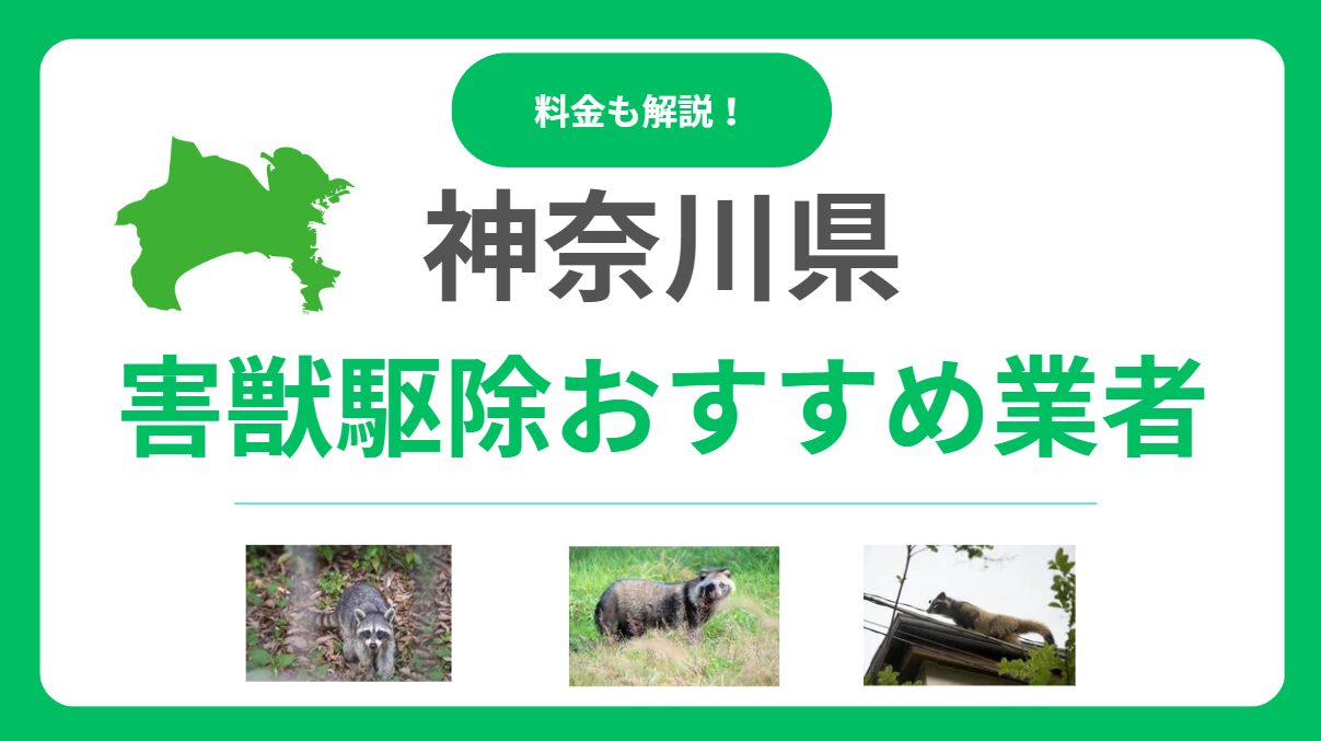 神奈川県の害獣駆除業者おすすめ15選｜料金比較と優良業者を見抜くポイント