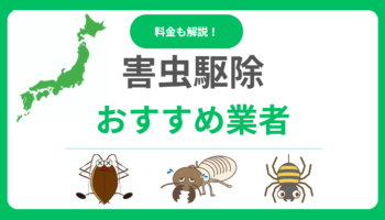 害虫駆除業者おすすめランキング12選！料金相場と失敗しない選び方を徹底解説！