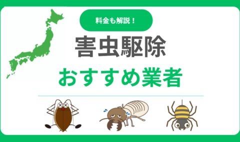 害虫駆除業者おすすめランキング12選！料金相場と失敗しない選び方を徹底解説！