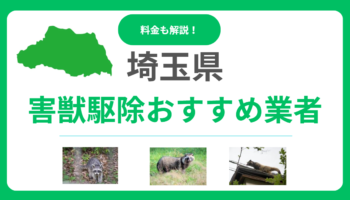 埼玉県の害獣駆除おすすめ業者16選！費用相場と優良な会社の選び方