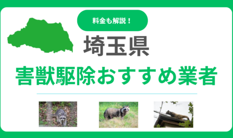 埼玉県の害獣駆除おすすめ業者16選！費用相場と優良な会社の選び方