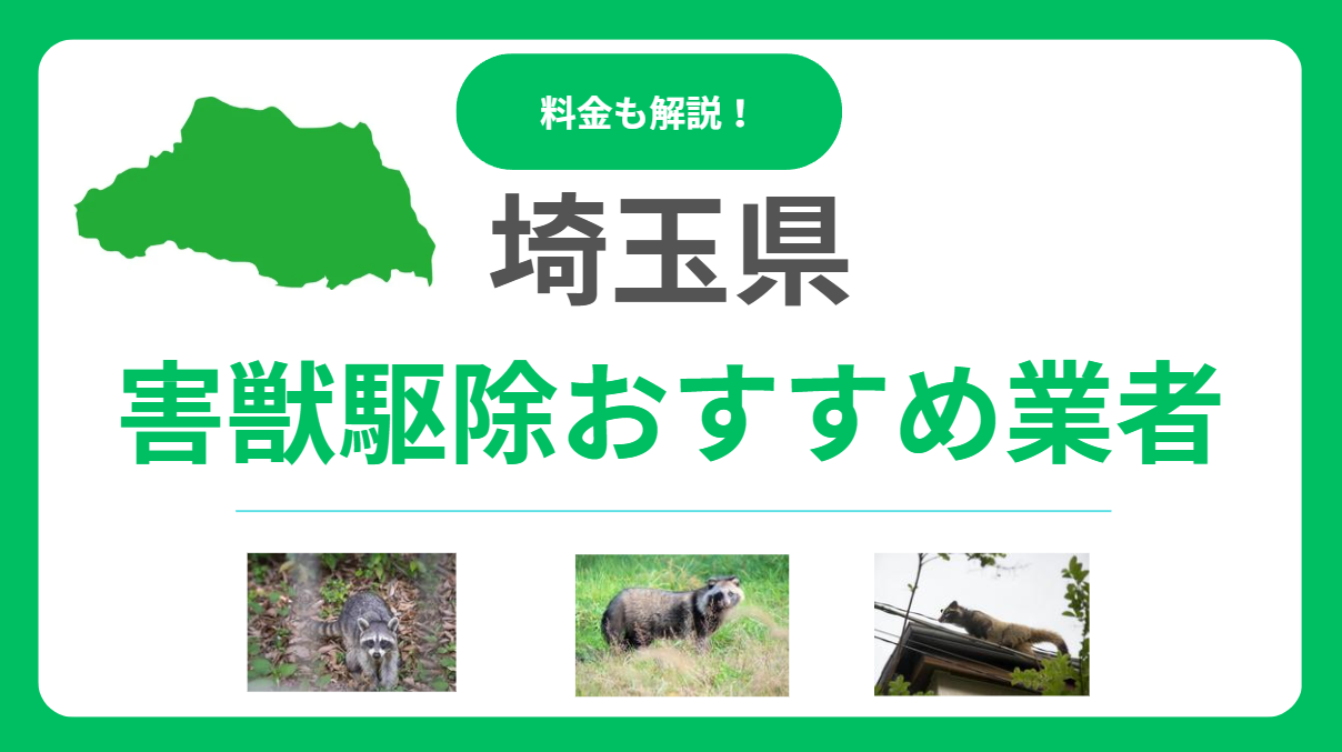 埼玉県の害獣駆除おすすめ業者16選！費用相場と優良な会社の選び方