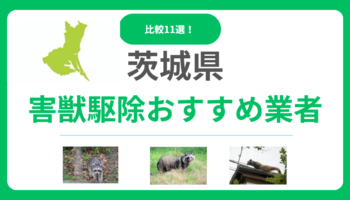 【茨城県】害獣駆除のおすすめ業者11選！料金や信頼できる選び方を比較