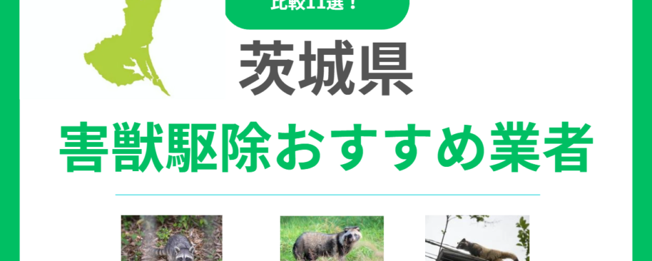 【茨城県】害獣駆除のおすすめ業者11選！料金や信頼できる選び方を比較