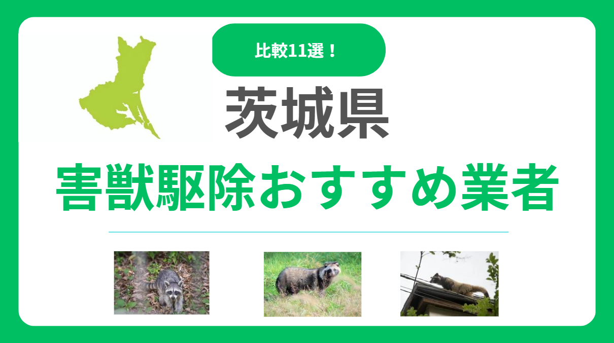 【茨城県】害獣駆除のおすすめ業者11選！料金や信頼できる選び方を比較