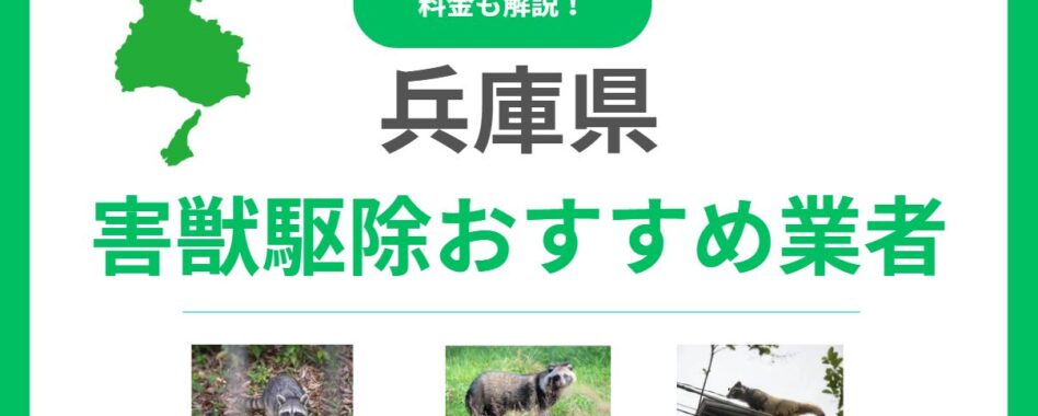 兵庫県の害獣駆除おすすめ業者ランキング12選！料金相場と失敗しない選び方