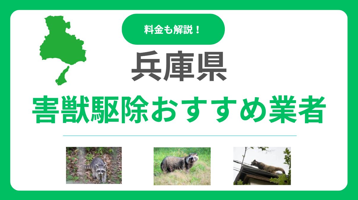 兵庫県の害獣駆除おすすめ業者ランキング12選！料金相場と失敗しない選び方