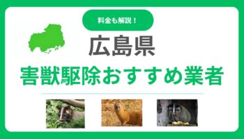 【広島県版】優良な害獣駆除業者10選！料金相場と信頼できる選び方をプロが解説