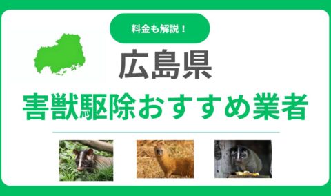 【広島県版】優良な害獣駆除業者10選！料金相場と信頼できる選び方をプロが解説