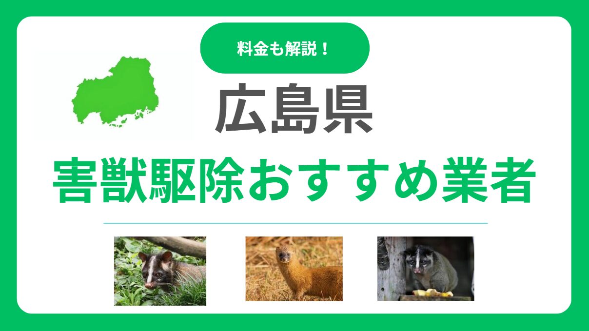 【広島県版】優良な害獣駆除業者10選！料金相場と信頼できる選び方をプロが解説
