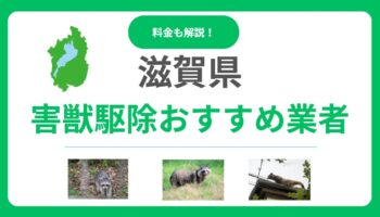 滋賀県の害獣駆除おすすめ業者15選｜費用や優良業者の見極め方も解説