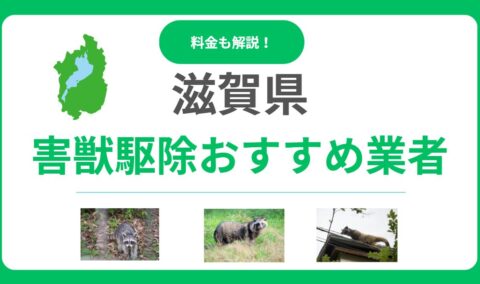 滋賀県の害獣駆除おすすめ業者15選｜費用や優良業者の見極め方も解説