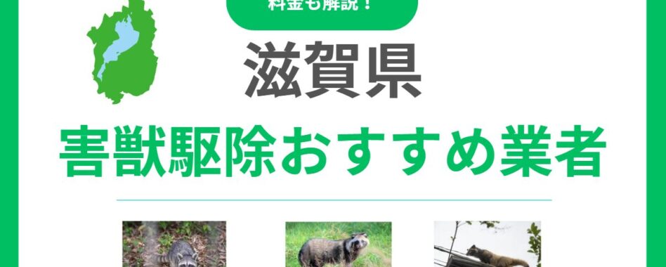 滋賀県の害獣駆除おすすめ業者15選｜費用や優良業者の見極め方も解説