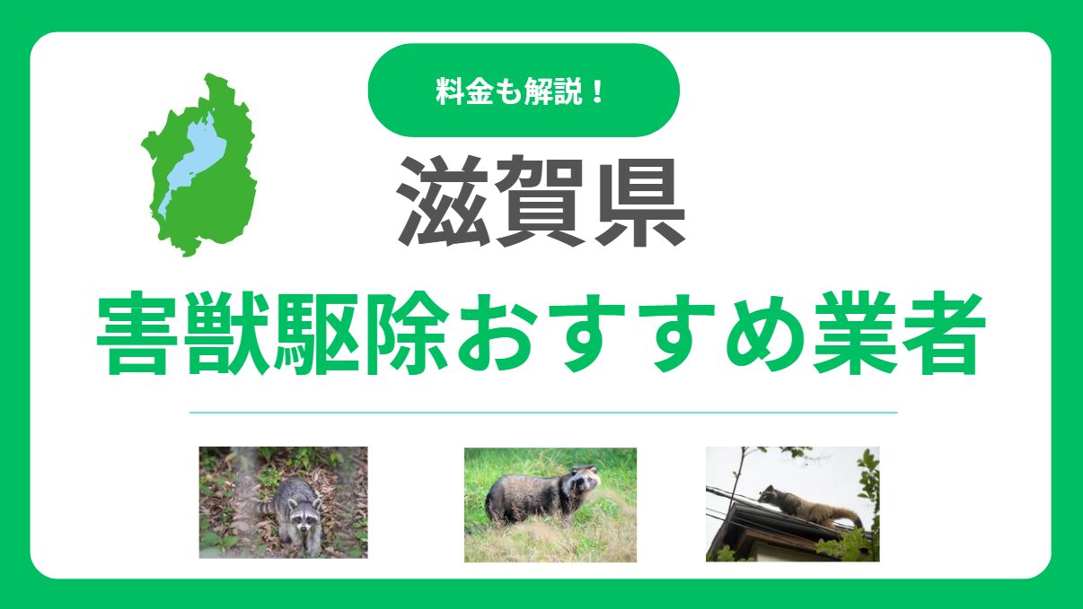 滋賀県の害獣駆除おすすめ業者15選｜費用や優良業者の見極め方も解説
